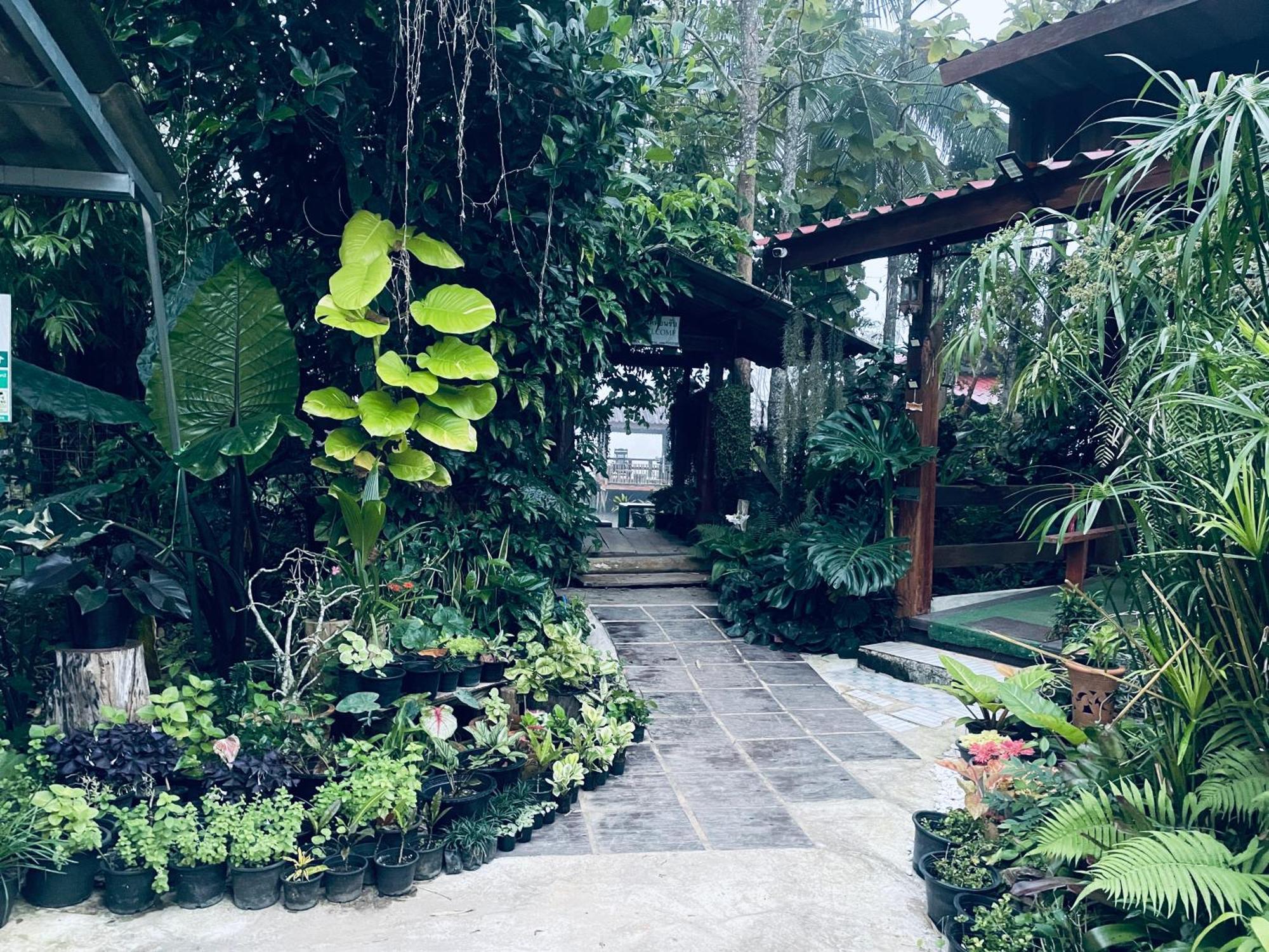 บ้านสวนวิวทุ่ง Ban Mae Sap Nua Exterior foto